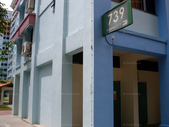 Blk 739 Tampines Green Vale (Tampines), HDB Executive #107642